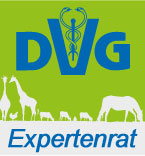 DVG Expertenrat
